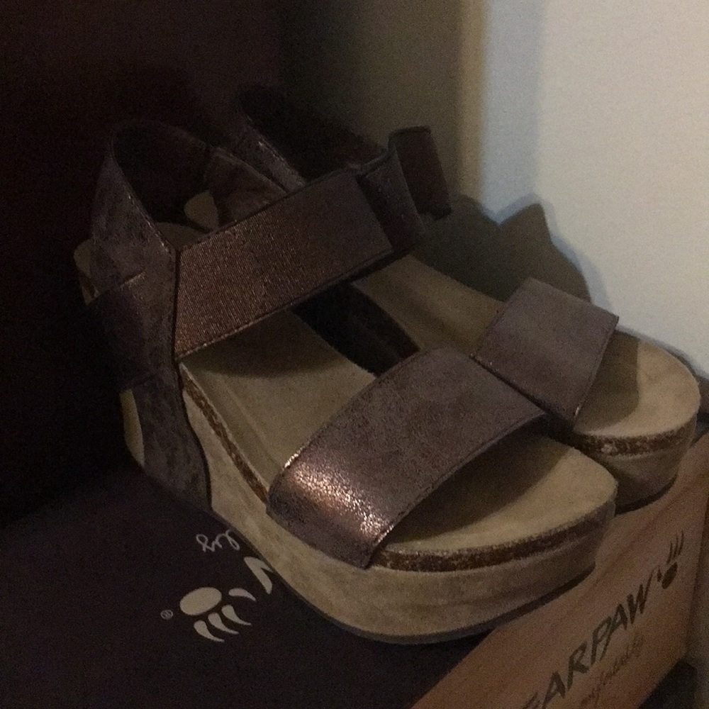 Pierre Dummas Bronze Wedge